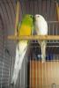 3_t1.jpg